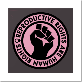 Reproductive Rights are Human Rights (pink) Posters and Art